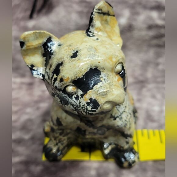 Septarian French Bulldog - Picture 7 of 9